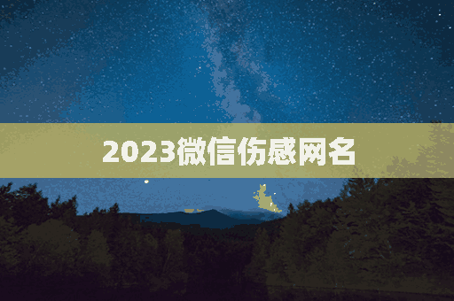 2023微信伤感网名(2023微信伤感网名女)